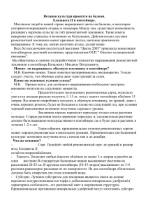 Ягодная культура просится на балкон. Елизавета II в контейнере