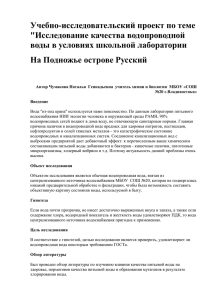 Учебно-исследовательский проект по теме &quot