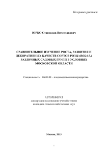 На правах рукописи ЮРКО Станислав Вячеславович  СРАВНИТЕЛЬНОЕ ИЗУЧЕНИЕ РОСТА, РАЗВИТИЯ И