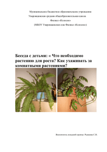 Как ухаживать за комнатными растениями?