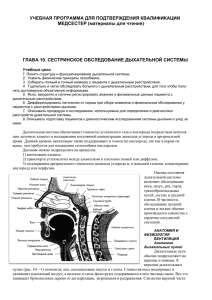 Сестринское обследование дыхательной системы