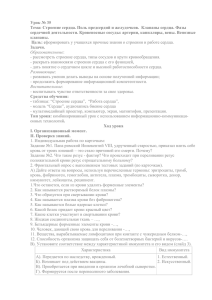 Урок № 35 сердечной деятельности. Кровеносные сосуды: артерии, капилляры, вены. Венозные