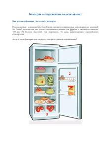 Бактерии в современных холодильниках