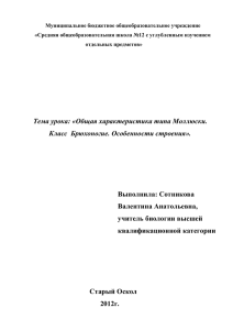 Общая характеристика типа Моллюски. Класс Брюхоногие.