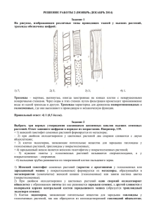 РЕШЕНИЕ РАБОТЫ 2 (НОЯБРЬ-ДЕКАБРЬ 2014)  Задание 1