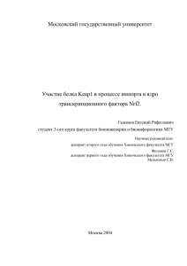 Курсовая работа-2005: Участие белка Keap1 в