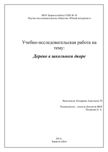 Учебно-исследовательская работа на тему: Дерево в школьном дворе