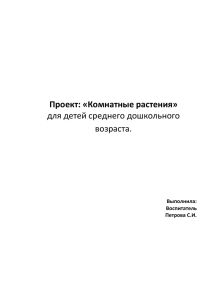 Проект «Комнатные растения»