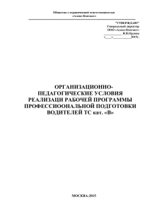 Организационно-педагогические условия реализации рабочей