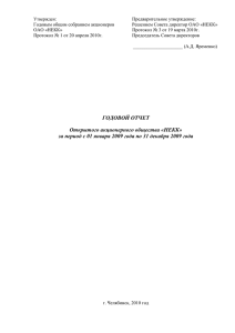 Годовой отчет Общества за 2009 год