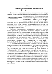 Глава 1 Анатомо-топографические закономерности формирования глазницы