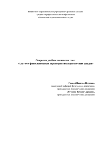 Анатомо - физиологическая характеристика кровеносных сосудов