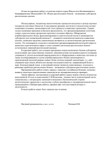  Отчет по практике по теме Особенности приготовления катализаторов из активированных и пилларированных монтмориллонитов