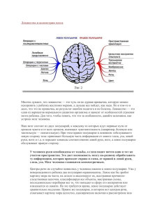 Левшество и ассиметрия мозга