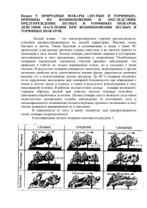 Вопрос 5: ПРИРОДНЫЕ ПОЖАРЫ (ЛЕСНЫЕ И ТОРФЯНЫЕ)