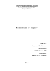 Еловый лес и его подрост - Образование Костромской области