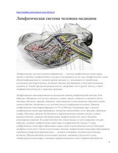 Лимфатическая система человека