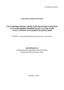 На правах рукописи Абдулаева Сабина Олеговна