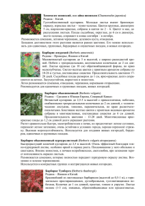 Каталог лиственных реализуемых растений