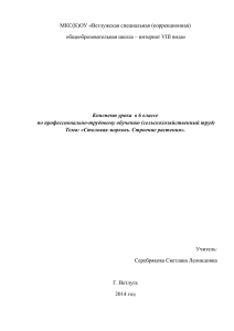 Конспект урока в 6 классе