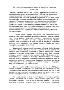 Как самое одинокое дерево планеты было сбито пьяным