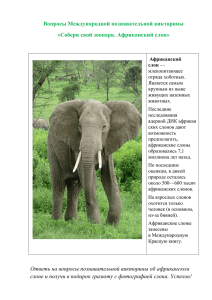 Вопросы Международной познавательной викторины «Собери свой зоопарк. Африканский слон»