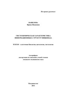 На правах рукописи ВАВИЛОВА Ирина Ивановна