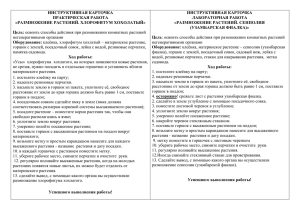 ИНСТРУКТИВНАЯ КАРТОЧКА ПРАКТИЧЕСКАЯ РАБОТА ЛАБОРАТОРНАЯ РАБОТА «РАЗМНОЖЕНИЕ РАСТЕНИЙ. ХЛОРОФИТУМ ХОХОЛАТЫЙ»