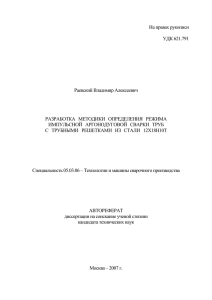 Раевский В.А. Разработка методики