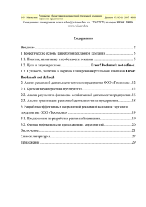 3. Разработка эффективных направлений рекламной кампании