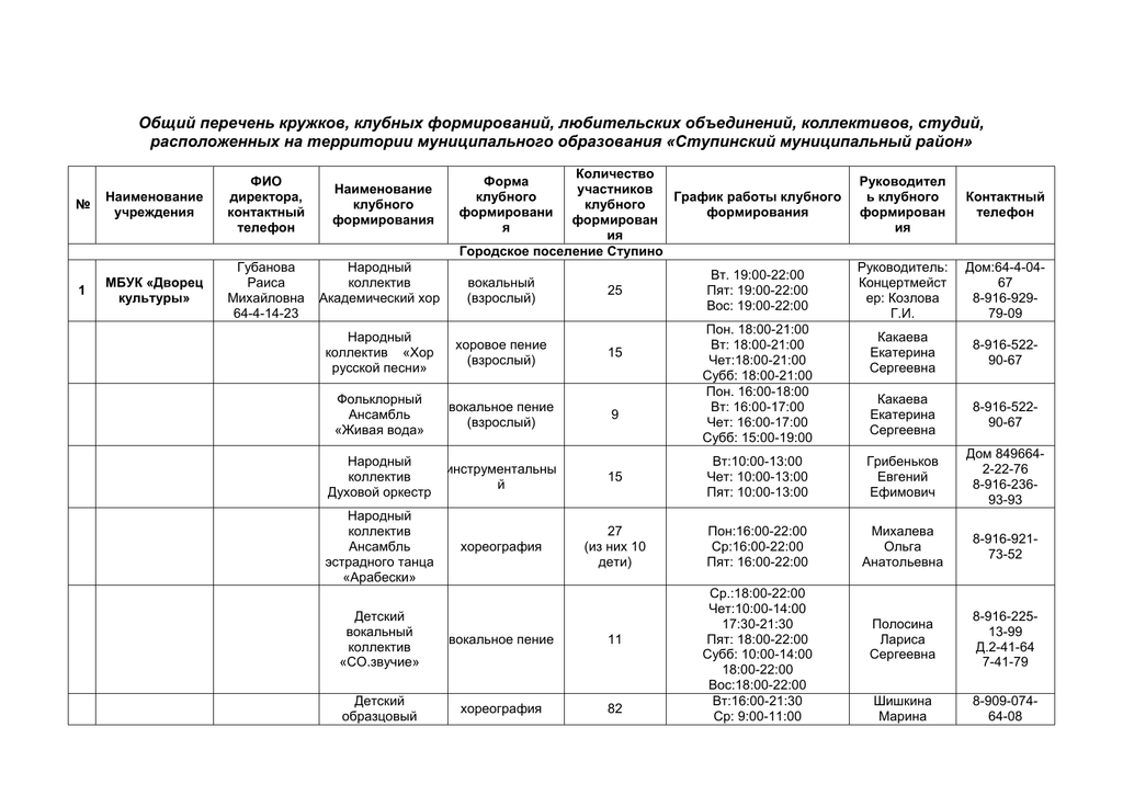 Паспорт клубного формирования образец