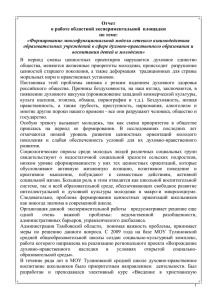 ОТЧЕТ по экспериментальной работе в сфере