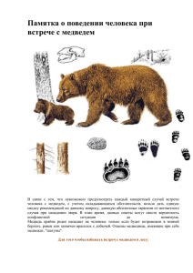 Памятка о поведении человека при встрече с медведем