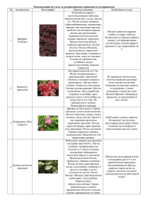 Рекомендации по уходу за декоративными деревьями и кустарниками №  Ассортимент Фотография