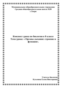 Органы дыхания: строение и функции». 207.5 КБ