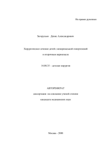 На правах рукописи Загорулько   Денис Александрович