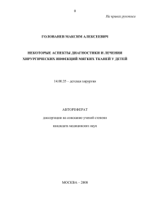 0 На правах рукописи ГОЛОВАНЕВ МАКСИМ АЛЕКСЕЕВИЧ