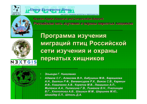 Программа изучения миграций птиц Российской сети изучения и