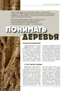 понимать деревья - Министерство лесного хозяйства