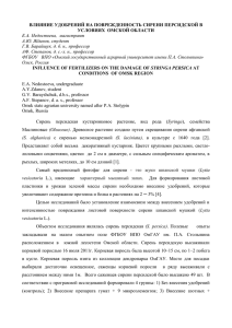 Полная версия научной работы 146 КБ