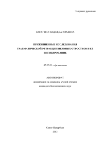 На правах рукописи ВАСЯГИНА НАДЕЖДА ЮРЬЕВНА