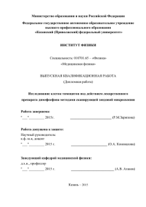 (Дипломная работа) "Исследование клеток тимоцитов под