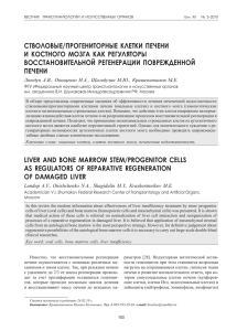 стволовые/прогениторные клетки печени и костного мозга