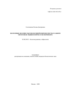 На правах рукописи УДК 611.018+591.478.1 Голиченкова Полина