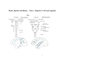 Brain, Spirits and Music, Part 1, Figures (1-18) and