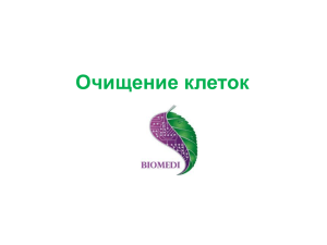 Очищение клеток от токсинов и паразитов