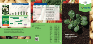 Регламенты применения Рекомендуемая схема проведения Рекомендации по защите картофеля фунгицидных обработок