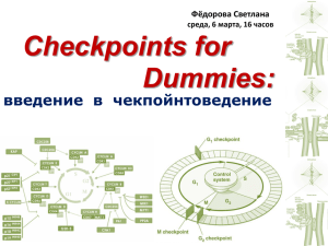 Checkpoints for  Dummies: введение  в  чекпойнтоведение