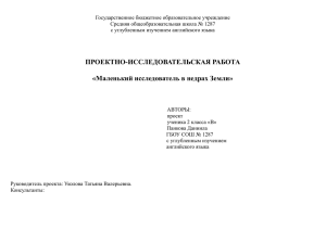 Проект 2014 Панков Д. 2 В.pages