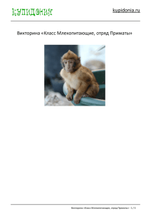 Викторина «Класс Млекопитающие, отряд Приматы